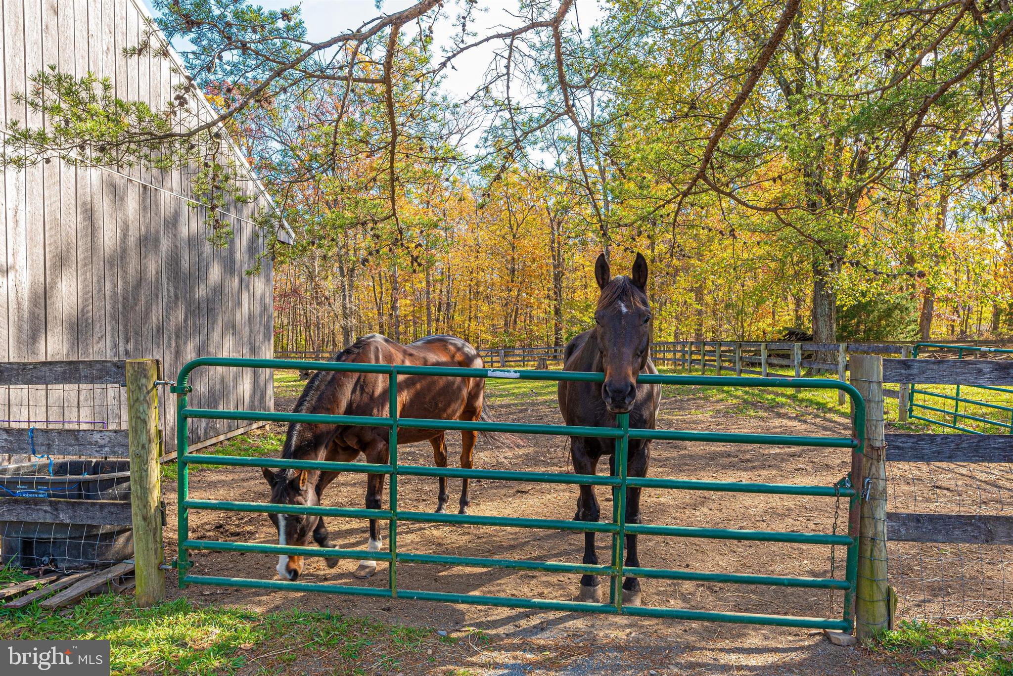 6112 Ford Road Frederick, MD 21702 - Photo 40 of 56 Horses welcome here.