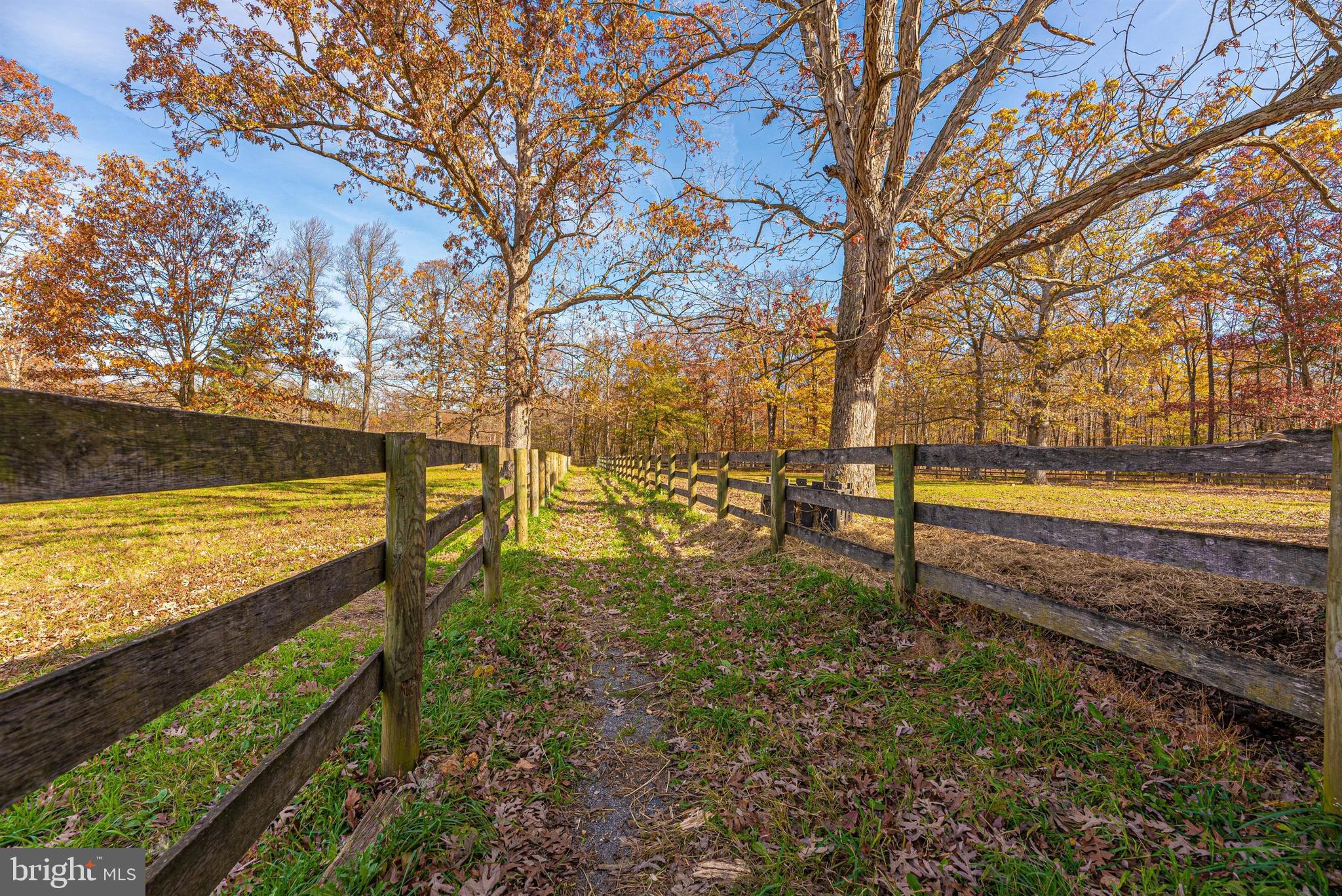 6112 Ford Road Frederick, MD 21702 - Photo 41 of 56 Pretty fall scene.