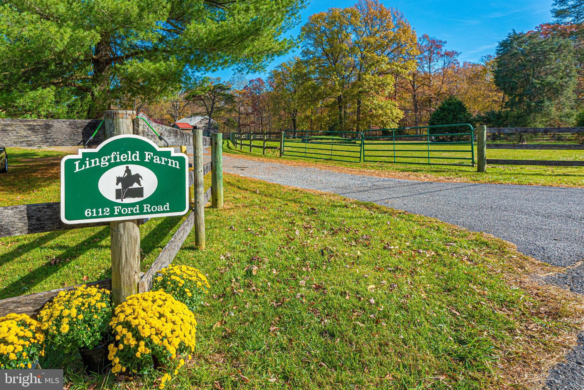 6112 Ford Road Frederick, MD 21702 - Photo 43 of 56 Fall flowers point the way.