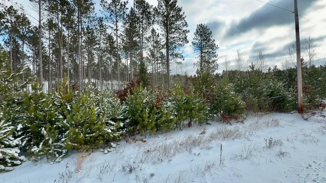 $49,900 | County X Road, Crivitz, WI 54114