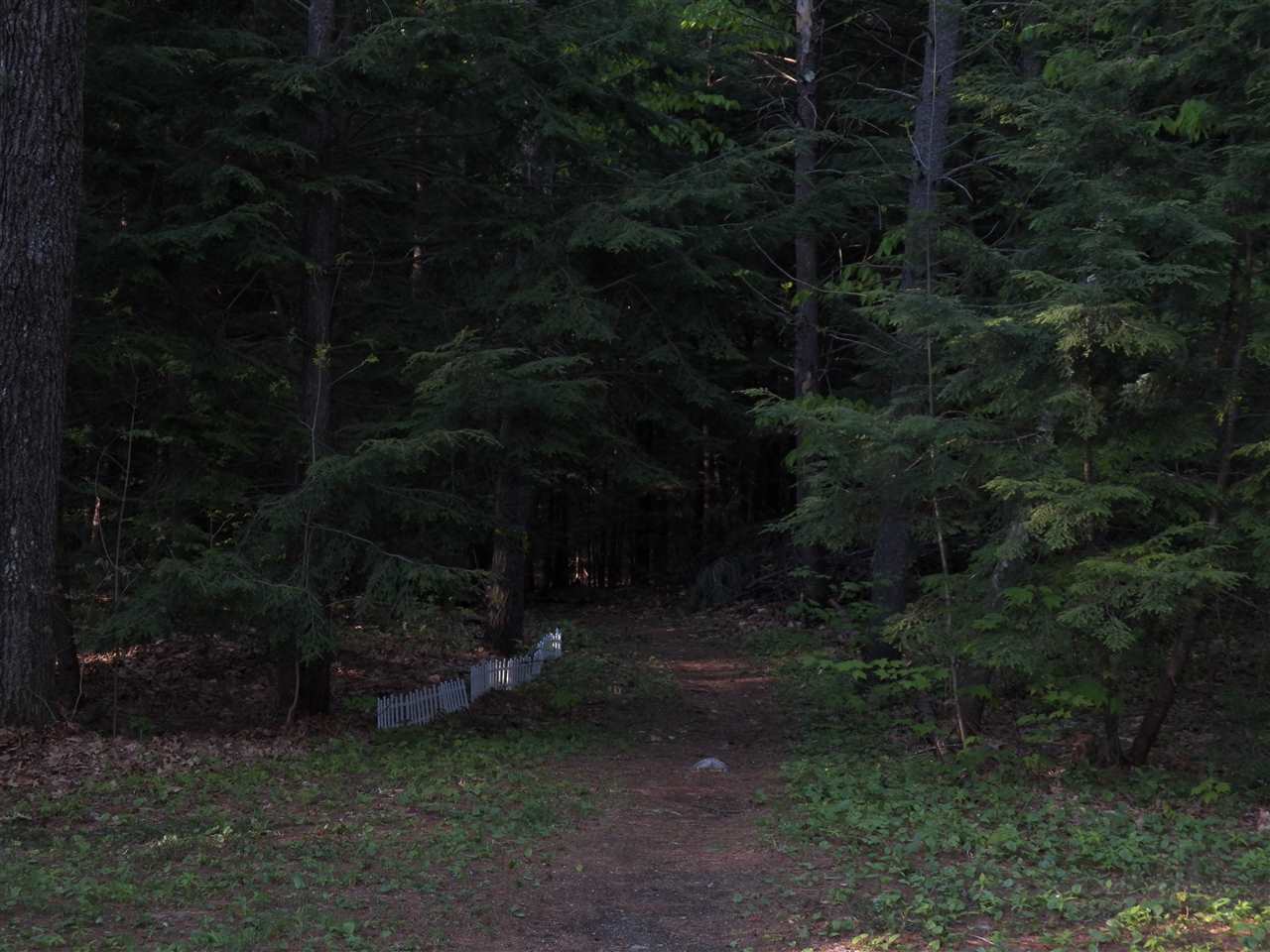 297 Dolly Road Hopkinton, NH 03229 - Photo 9 of 40