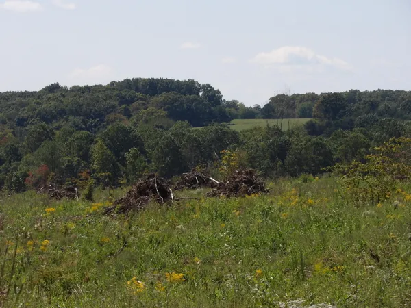 $440,000 | Lot 55 Summer City Road, Unit 55, Evensville, TN 37332