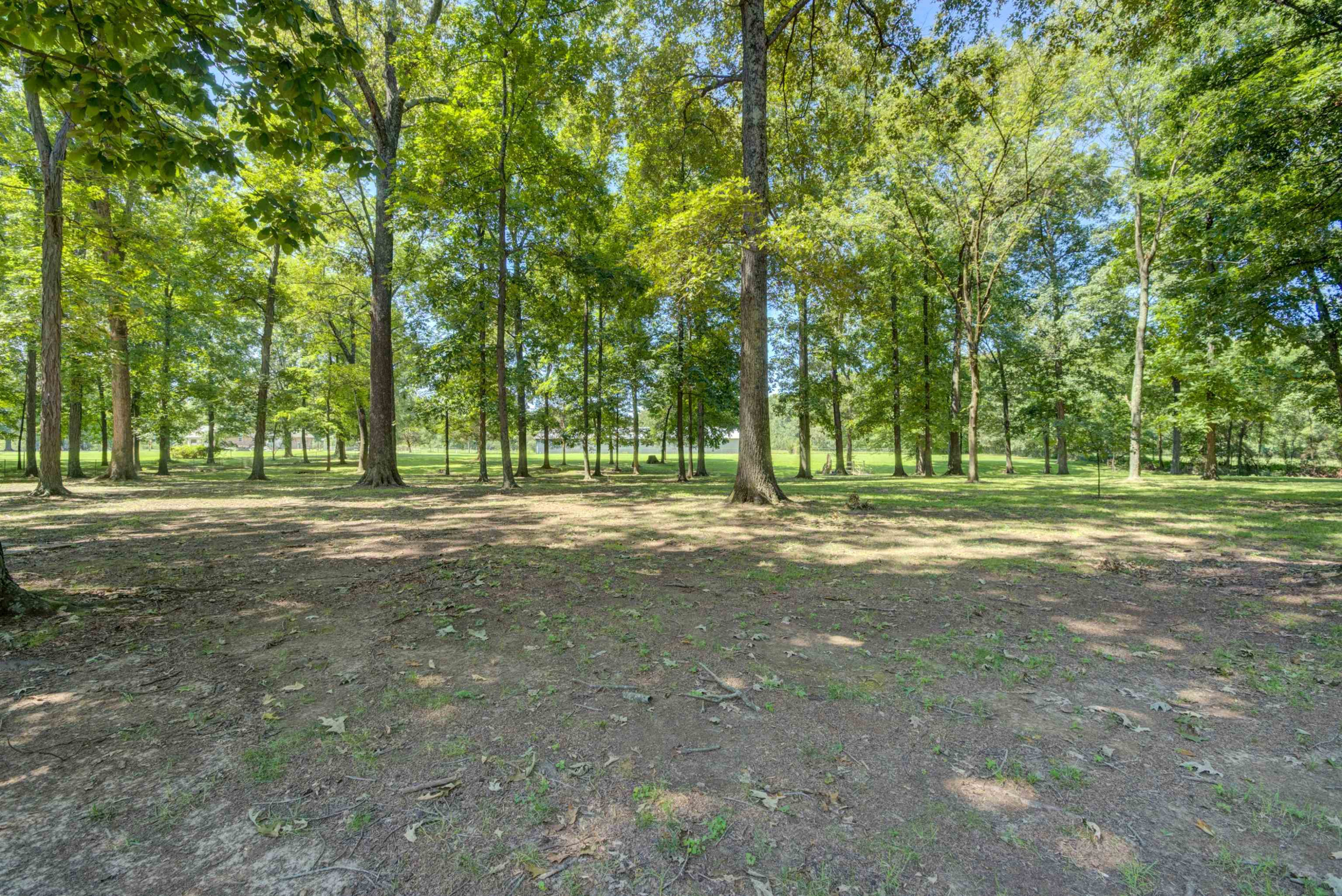 289 Pleasant Plains Road Jackson, TN 38305 - Photo 38 of 42 Photo 38