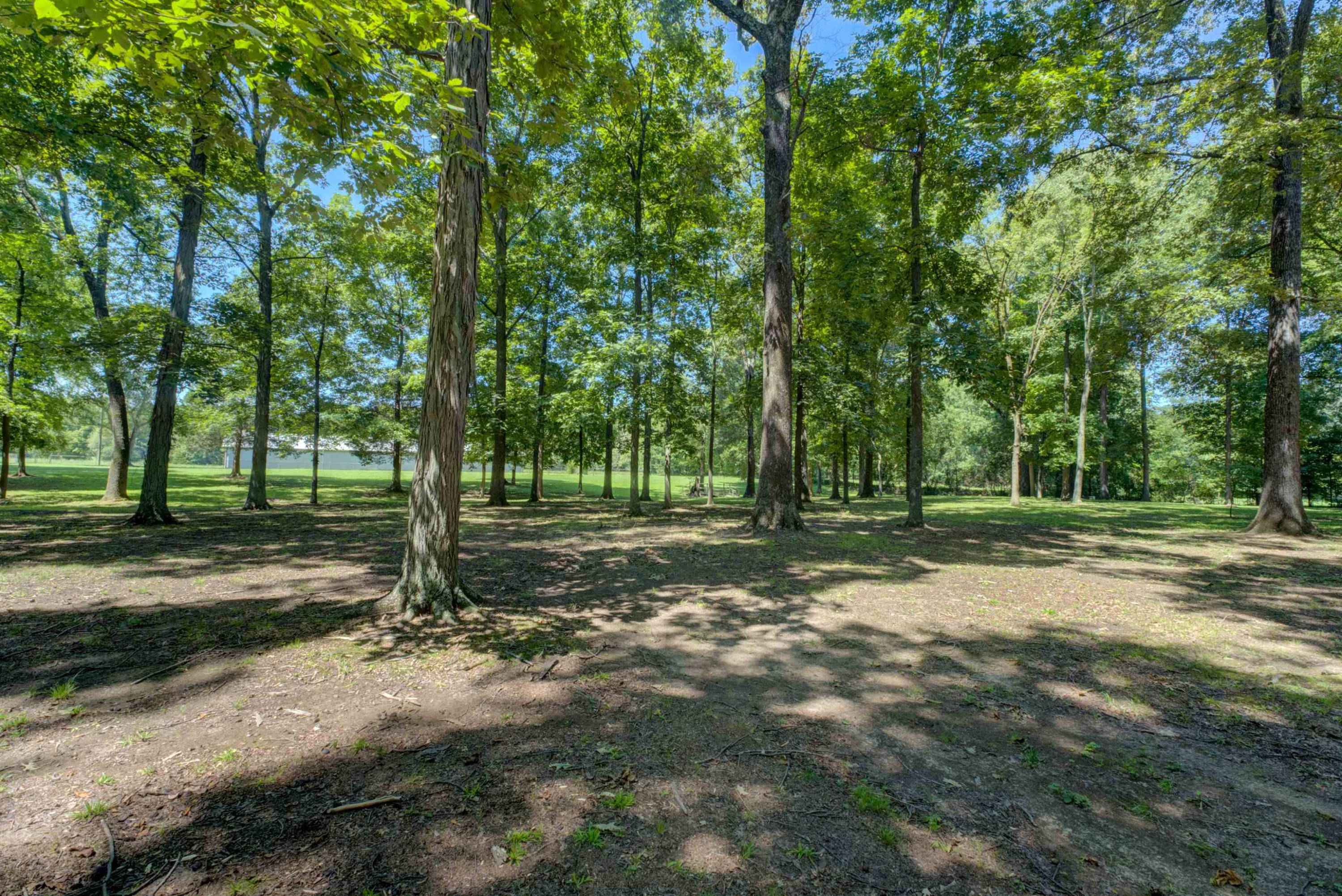 289 Pleasant Plains Road Jackson, TN 38305 - Photo 39 of 42 Photo 39