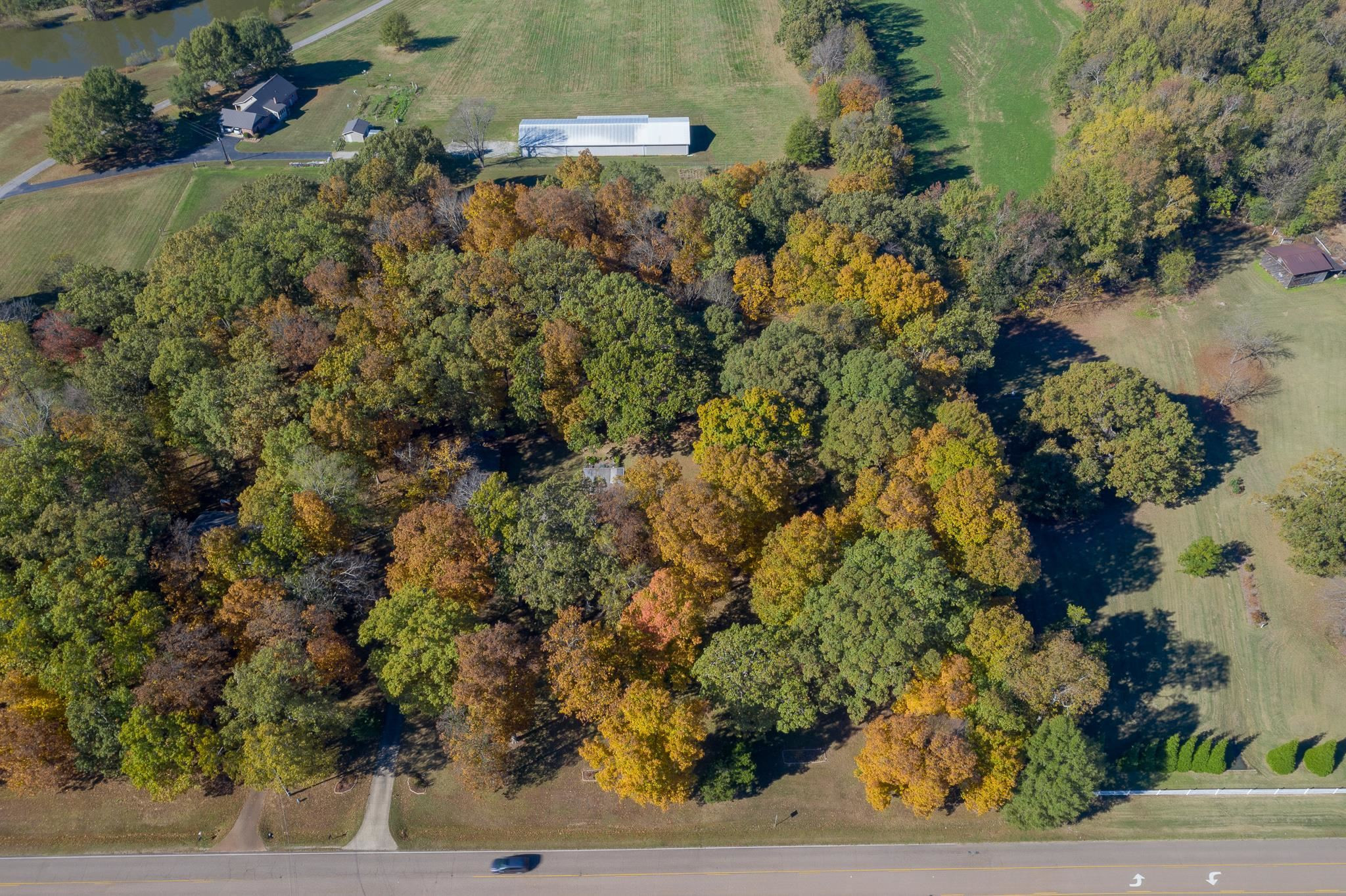 289 Pleasant Plains Road Jackson, TN 38305 - Photo 42 of 42 Photo 42
