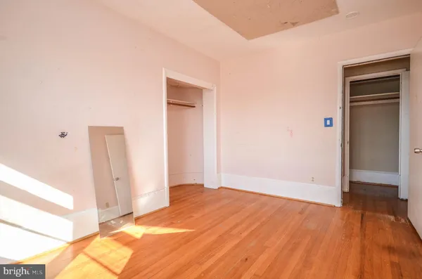 a view of a yard with trees in the background