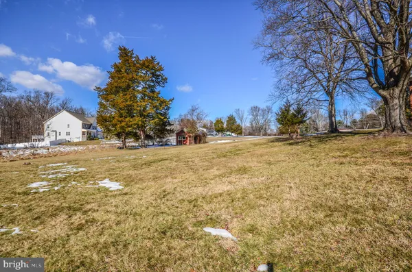 a view of a backyard with a garden and tree