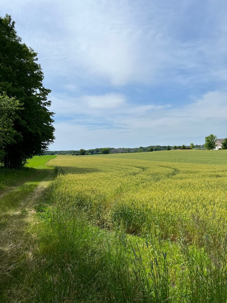 Haberli Road Sturgeon Bay, WI 54235 - Photo 6 of 7
