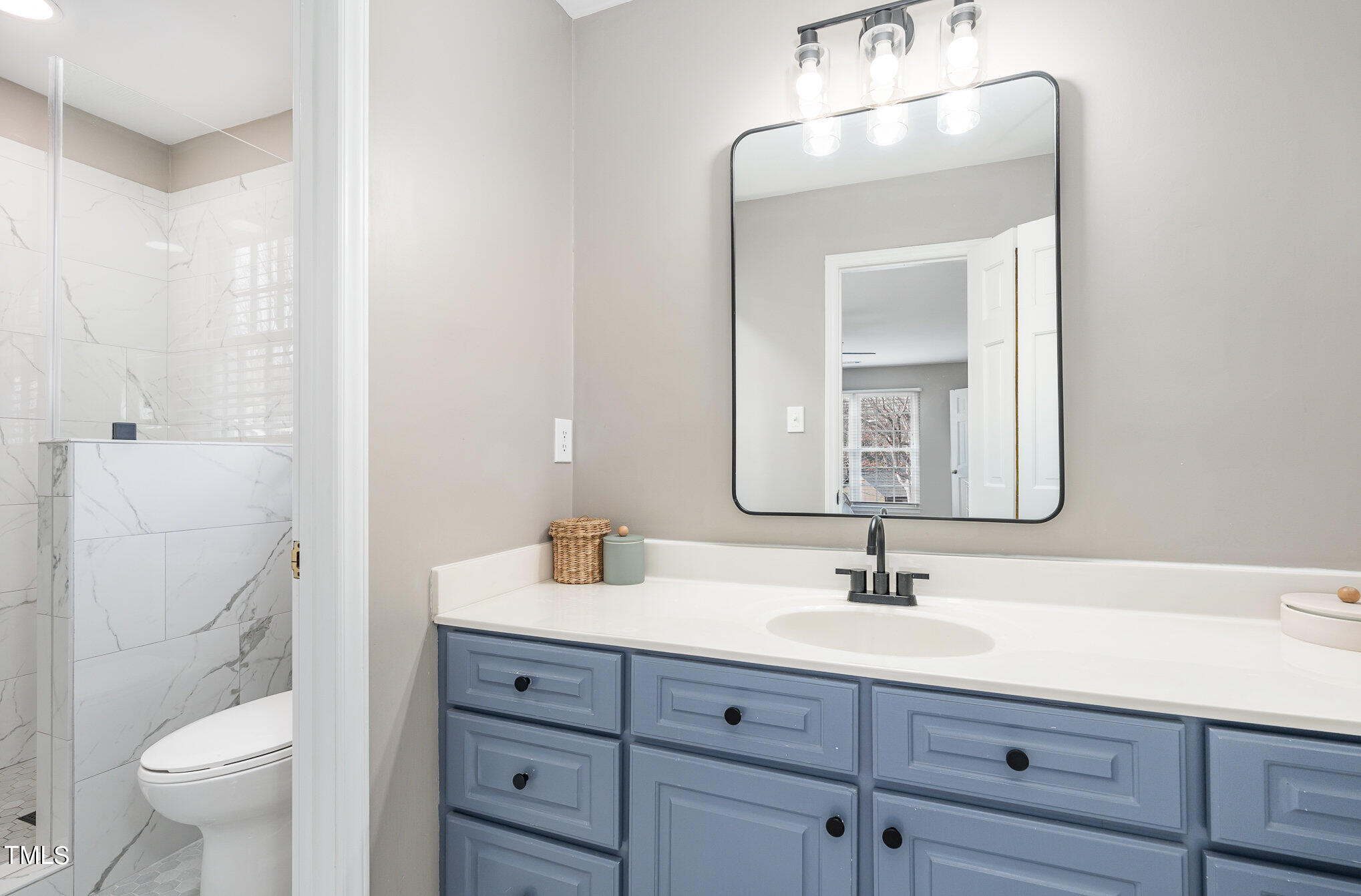 7301 Old Hundred Road Raleigh, NC 27613 - Photo 9 of 17 a bathroom with a toilet a sink a mirror and vanity