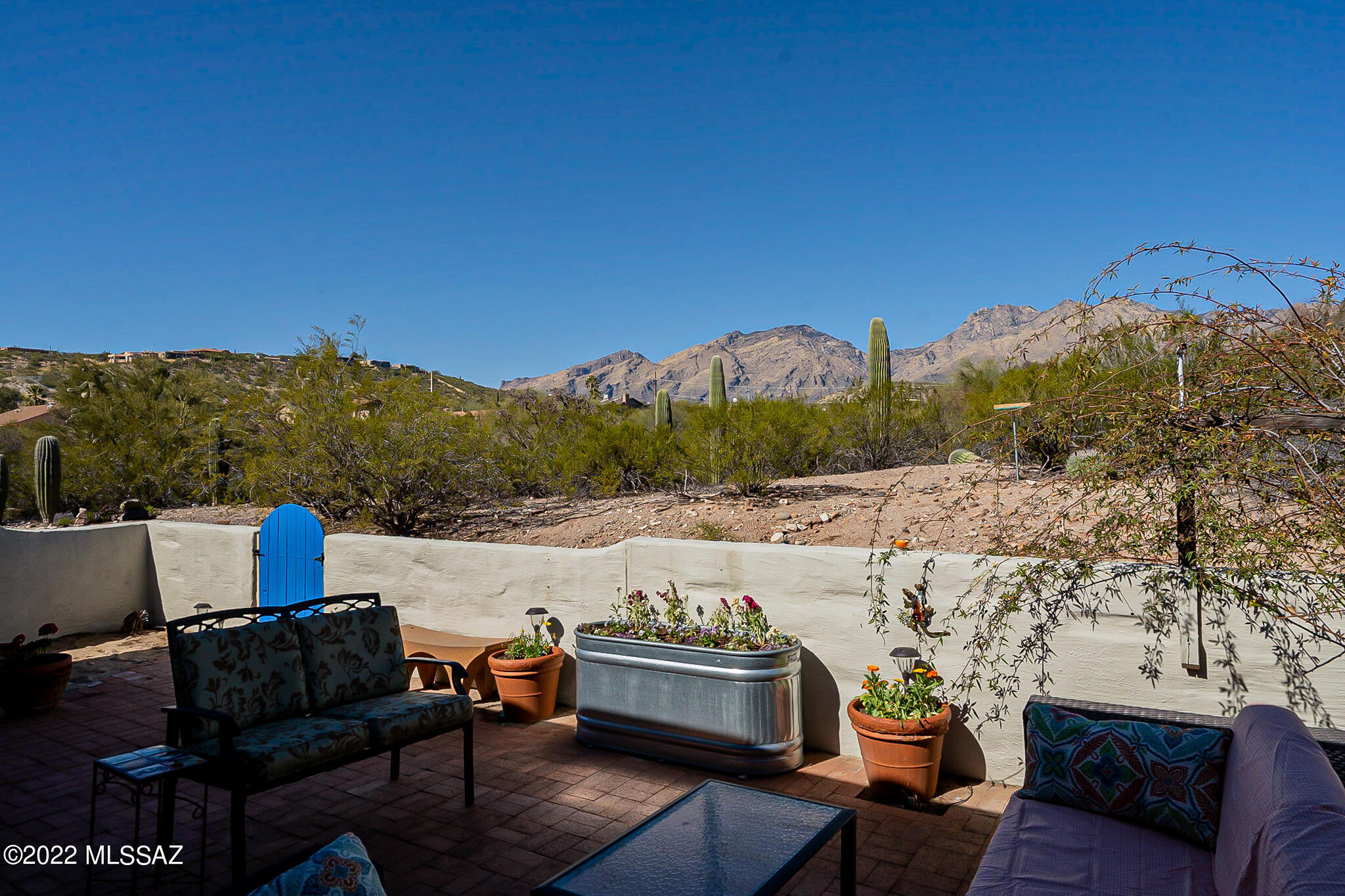 7407 East Wandering Road Tucson, AZ 85750 - Photo 19 of 21 Back Patio area