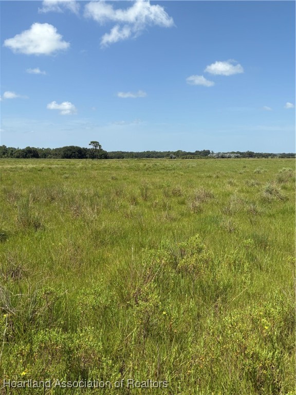 1001 Cattle Ranch Road Venus, FL 33960 - Photo 3 of 5