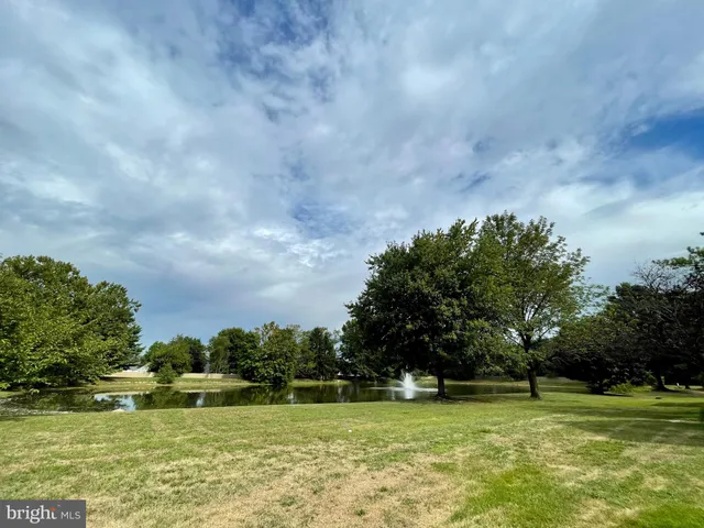 a view of a green field with trees in the background