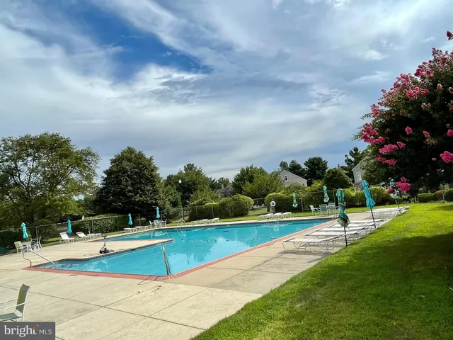 a view of a swimming pool with a yard
