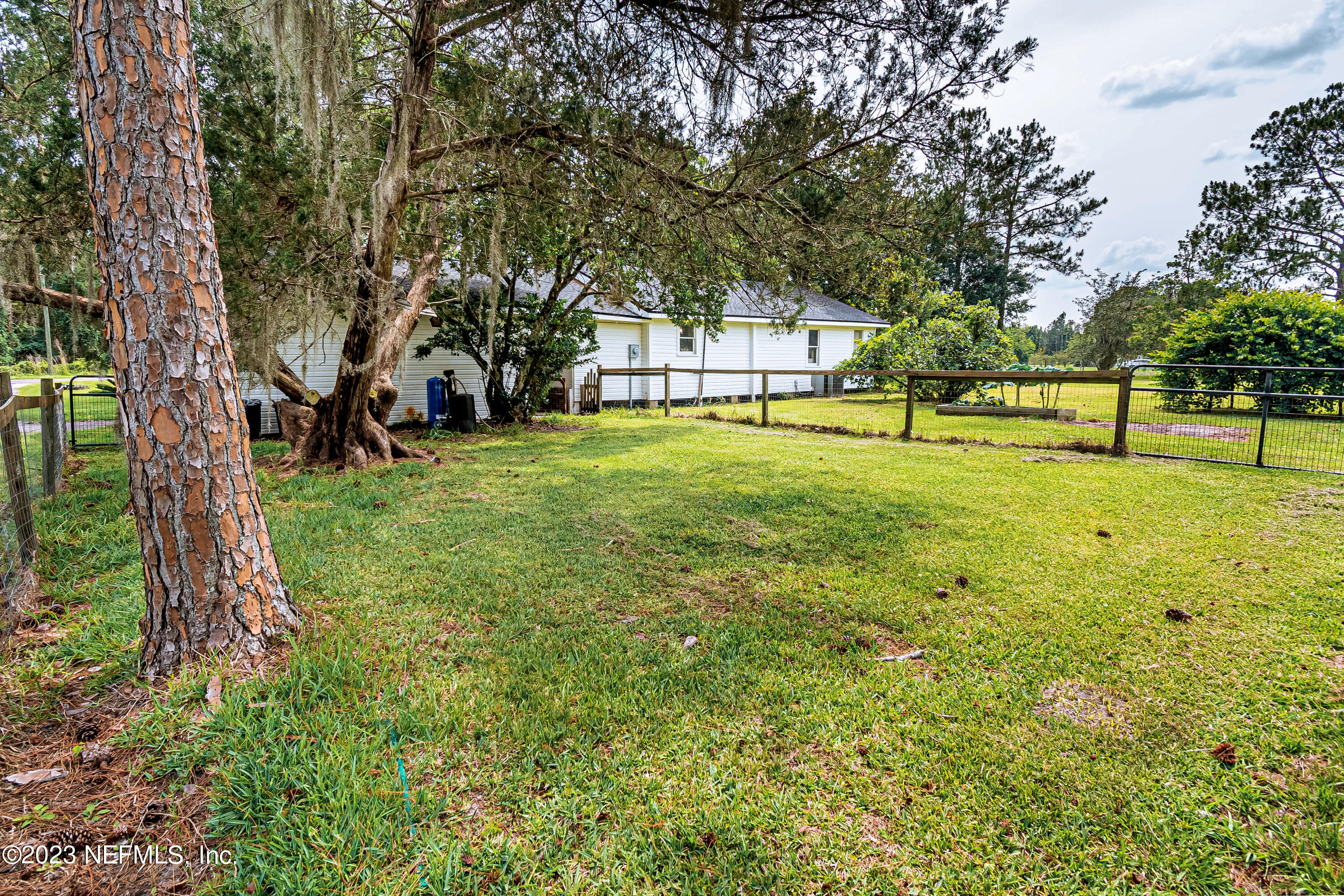 8619 Mud Lake Road Macclenny, FL 32063 - Photo 27 of 49 a view of a backyard with large trees