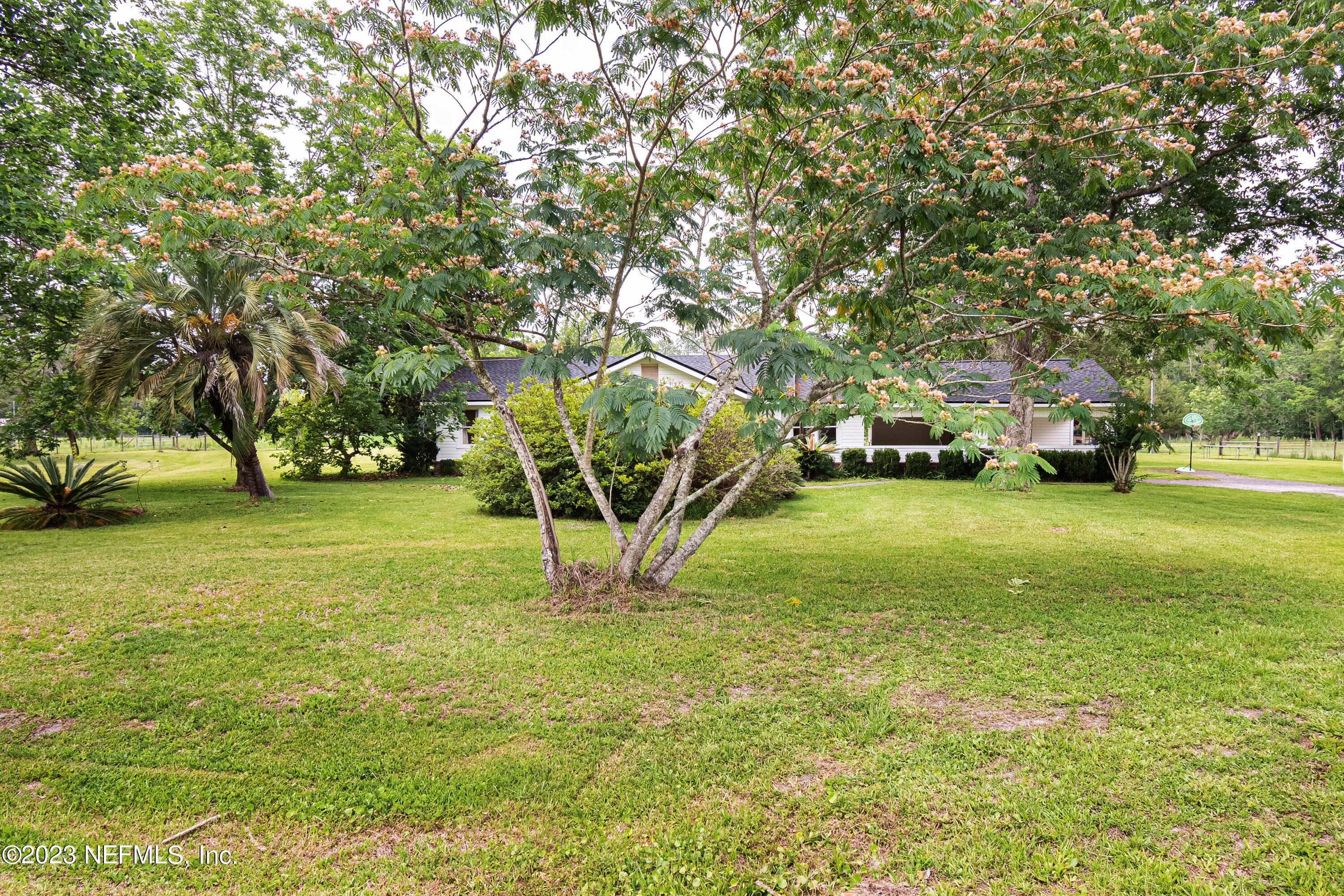 8619 Mud Lake Road Macclenny, FL 32063 - Photo 31 of 49 a view of yard with trees