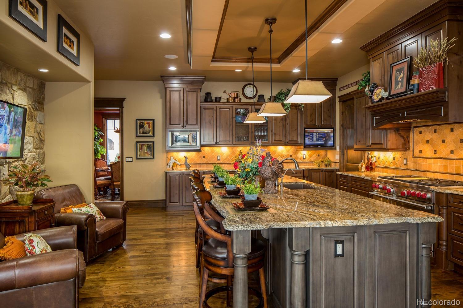 10877 Rainribbon Road Highlands Ranch, CO 80126 - Photo 12 of 35
