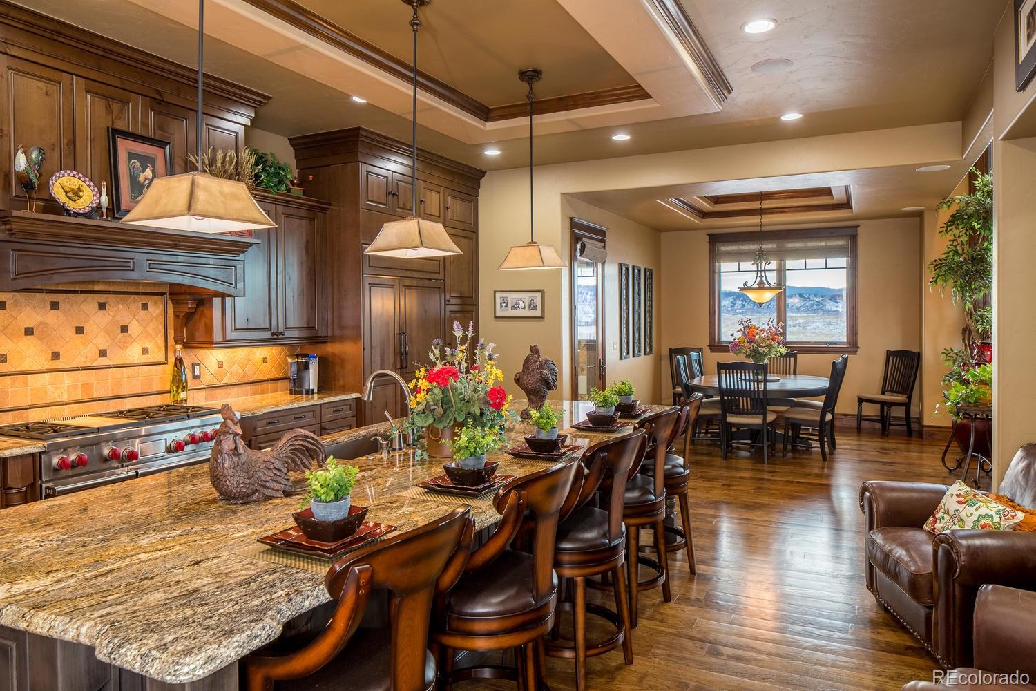 10877 Rainribbon Road Highlands Ranch, CO 80126 - Photo 14 of 35