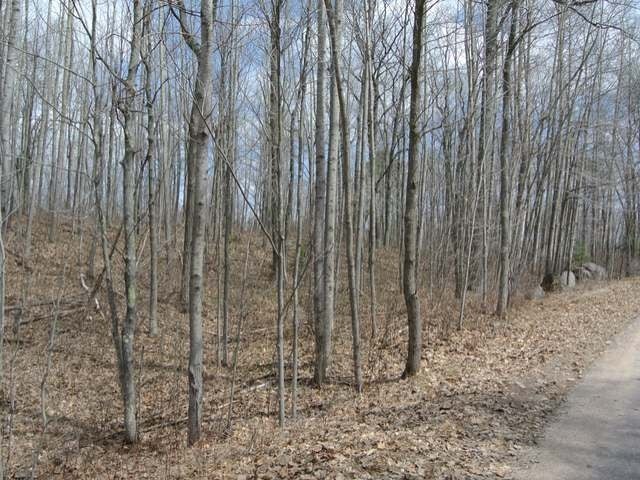 On Back Bay Road Minocqua, WI 54548 - Photo 11 of 15 Gallery Image 11