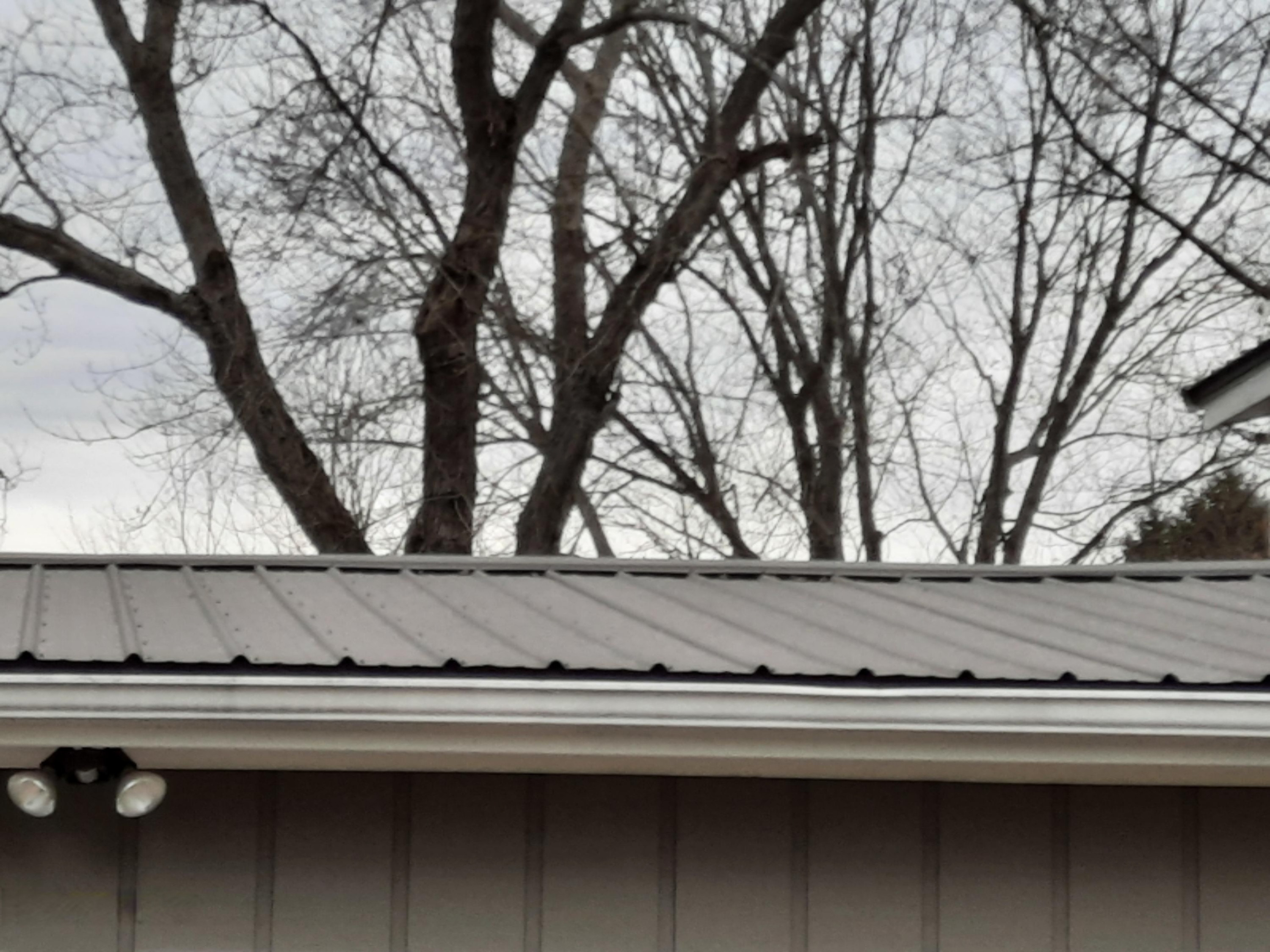 12385 Perry Road Battle Creek, MI 49015 - Photo 37 of 46 Home Steel Roof