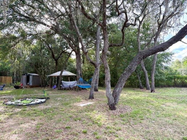9825 Leguna Street New Port Richey, FL 34654 - Photo 5 of 37 Gallery Image 5