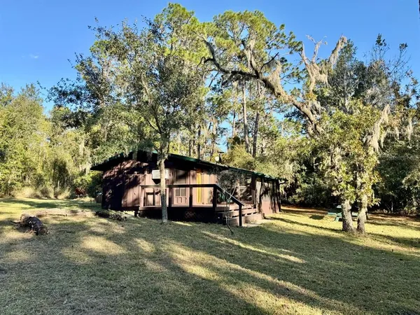 a view of a park with large trees