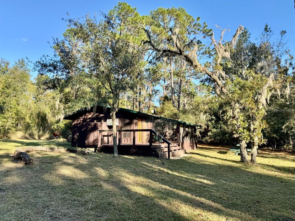 a view of a park with large trees