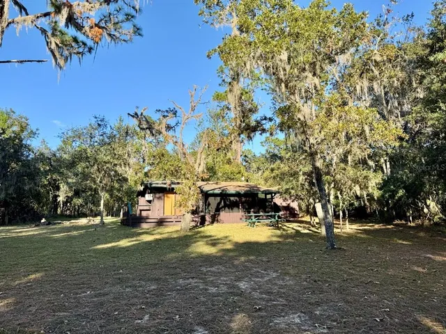 a view of road and trees