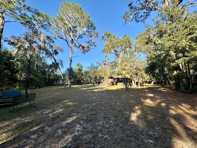 a view of a tree is standing in between the field