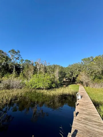 a view of a yard with a tree