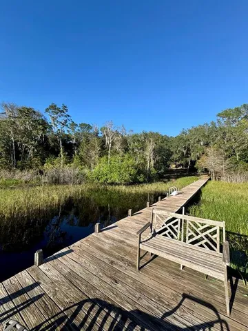 a view of a park with tree s