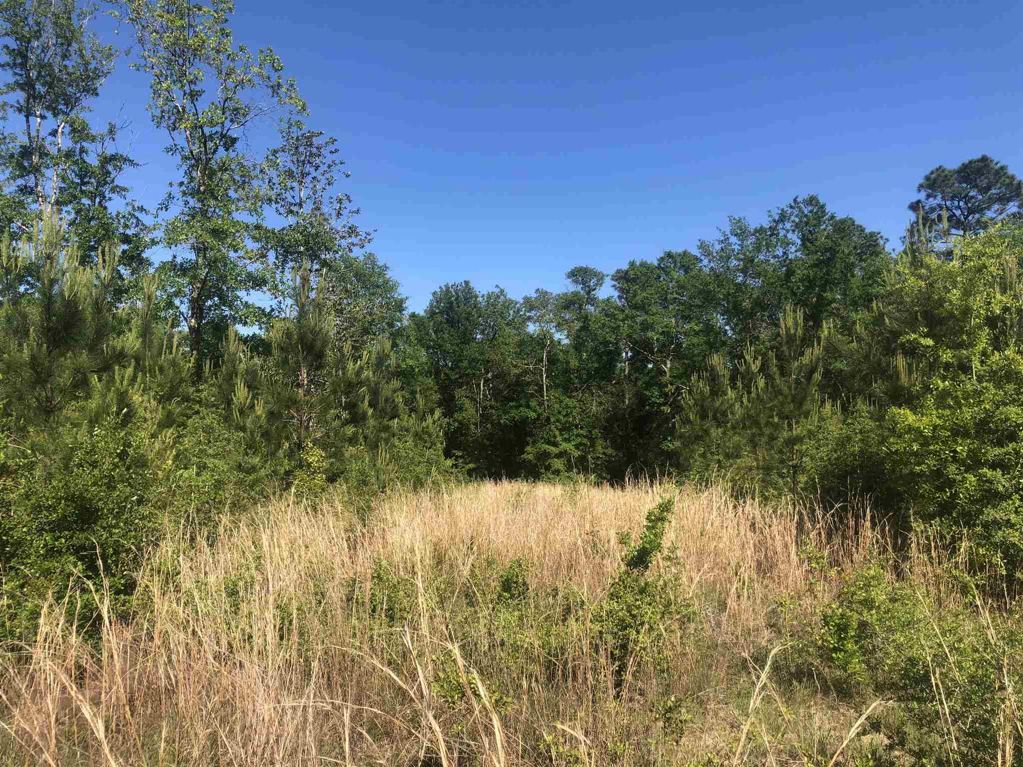 Lot 65-br Buffalo Ridge Road Milton, FL 32571 - Photo 10 of 10