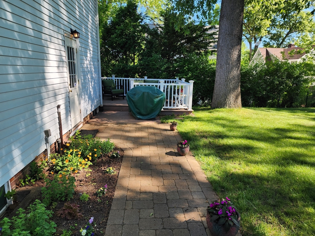 235 Chalmers Street Springfield, MA 01118 - Photo 4 of 29