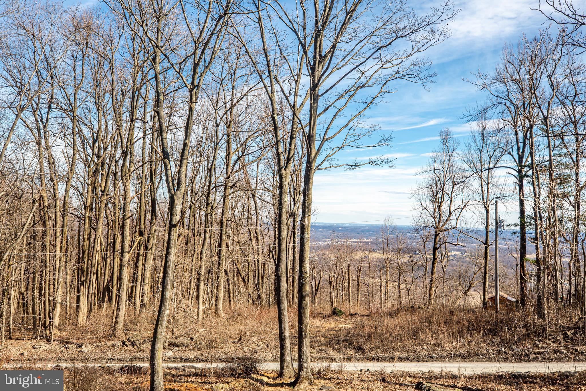 17345 Raven Rocks Road Bluemont, VA 20135 - Photo 55 of 99 a view of a yard with large tree