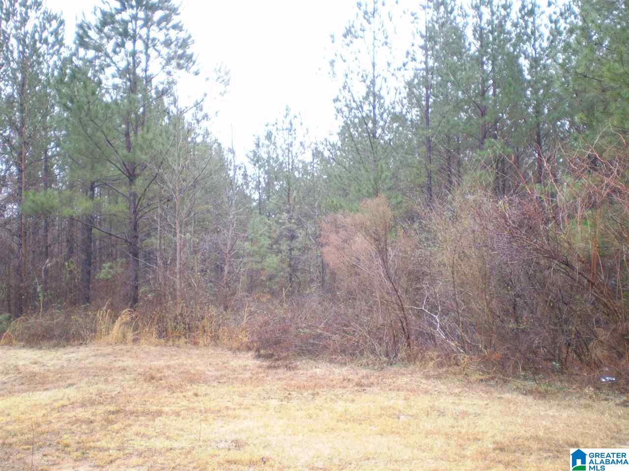 495 Rocky Rdg Road Odenville, AL 35120 - Photo 4 of 31