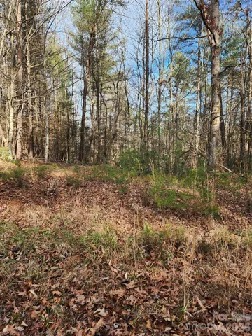 a flag is sitting in the middle of the forest