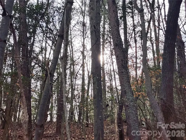 a view of a backyard of a building