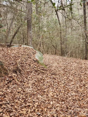 a view of a yard with plants and trees