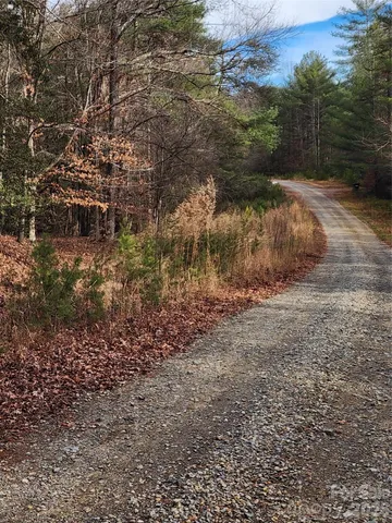 a view of a forest with trees in front of the house