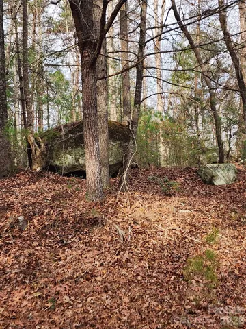 a big yard with lots of green space