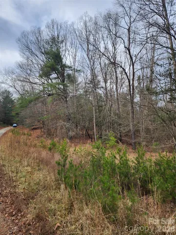 a view of a yard with trees