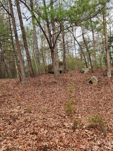 a view of a dry yard with trees