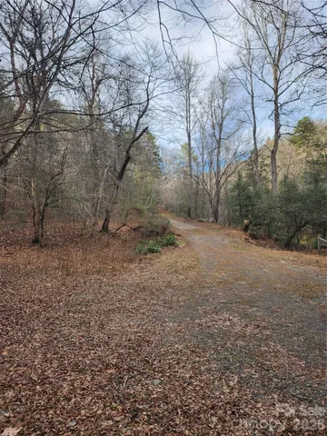 a view of lake with a tree