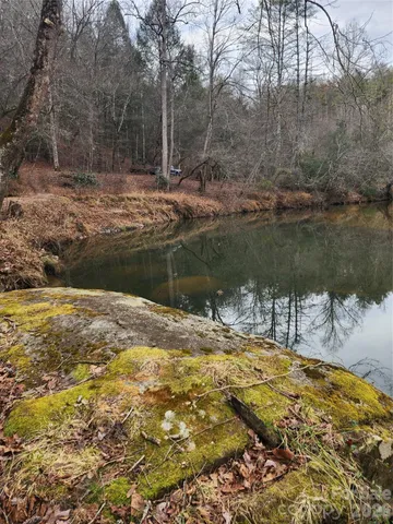 a view of a tree in the middle of a yard