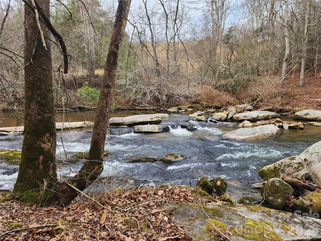 a front view of a house with a yard and covered with trees