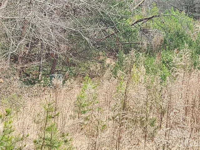 a view of a backyard of the house