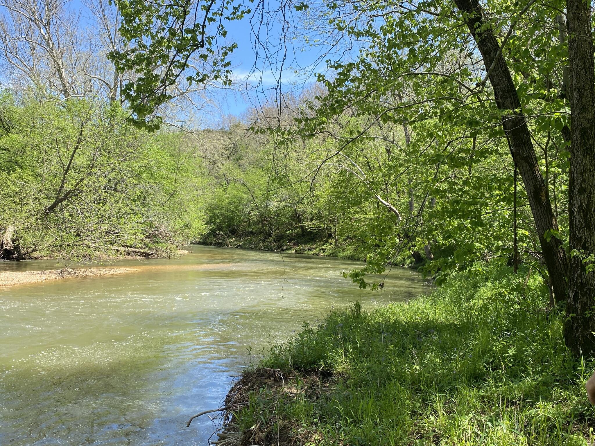 181 Hico Road Long Lane, MO 65590 - Photo 1 of 1 IMG_6583