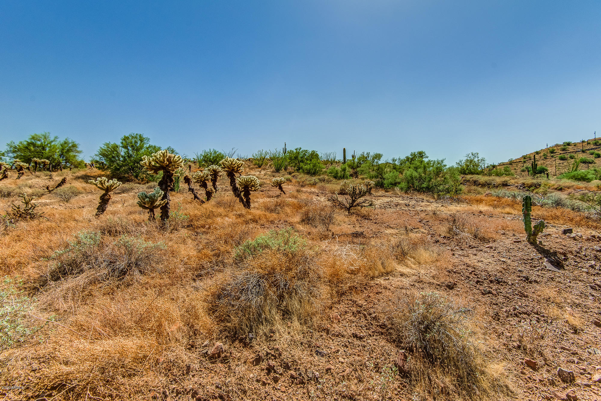 52 West Rock View Road Phoenix, AZ 85085 - Photo 1 of 13 DSC_1256_