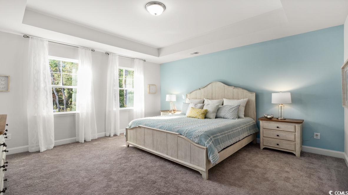 737 Doonbeg Court Conway, SC 29526 - Photo 15 of 33 Bedroom with carpet floors, a tray ceiling, and baseboards