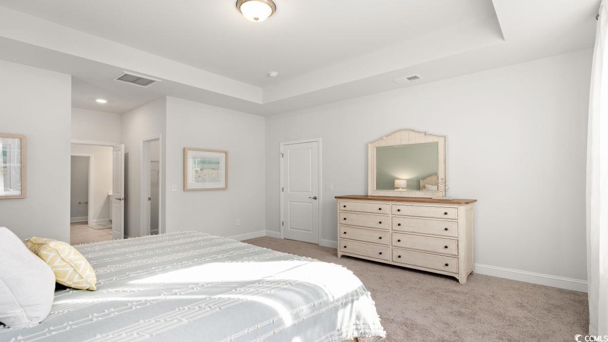 737 Doonbeg Court Conway, SC 29526 - Photo 17 of 33 Bedroom featuring light colored carpet, baseboards, and a raised ceiling