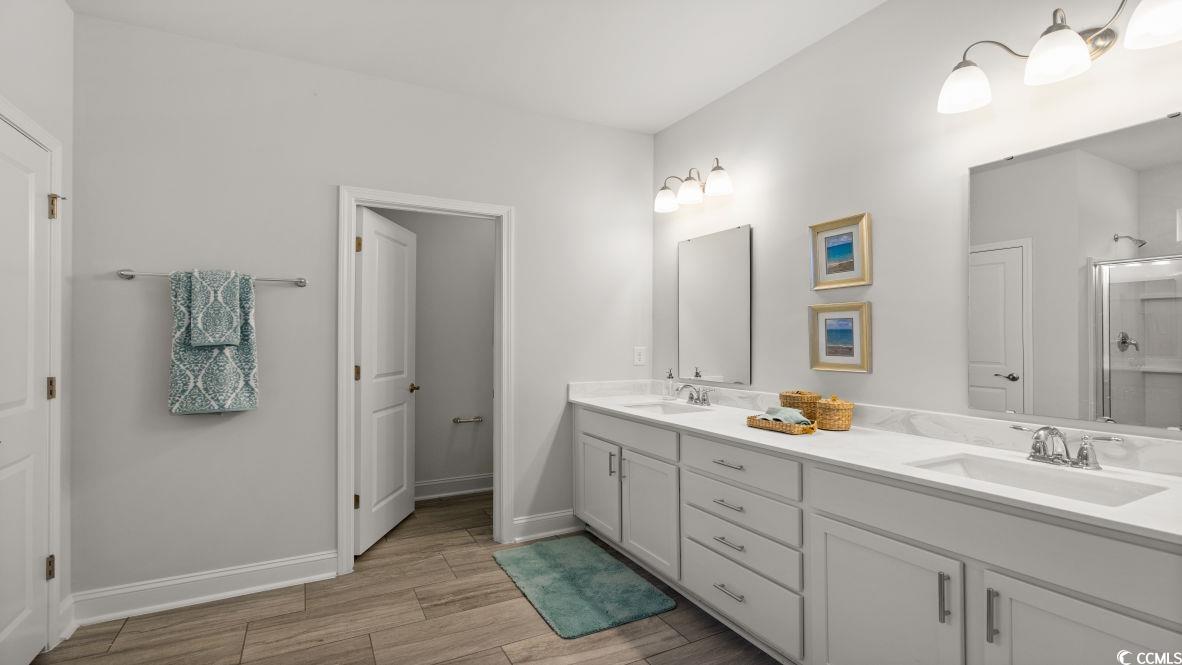 737 Doonbeg Court Conway, SC 29526 - Photo 20 of 33 Bathroom featuring double vanity, wood finished floors, a shower with shower door, and baseboards